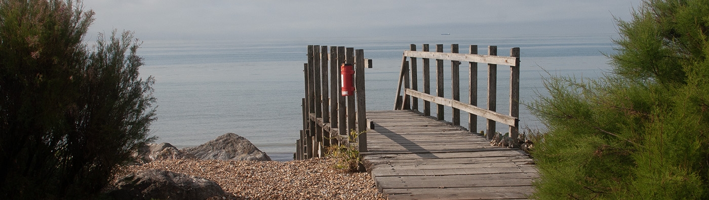 West Worthing Waterwise Garden by Steven Wilson. Taken 18th July 2025.