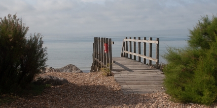 Worthing photo: West Worthing Beach Water Wise Garden