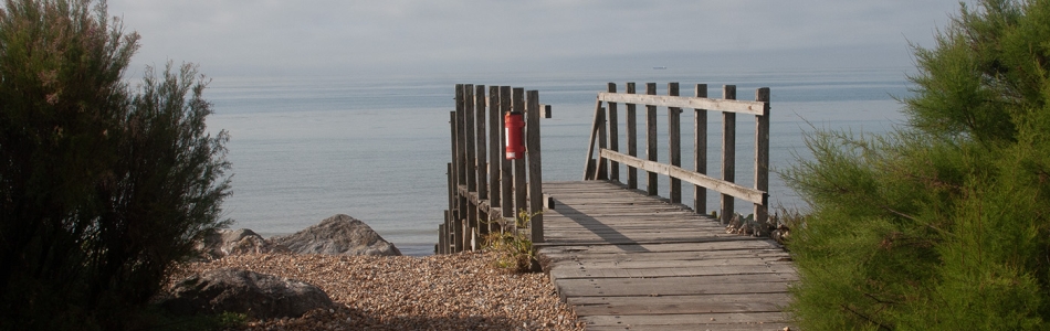 West Worthing Waterwise Garden by Steven Wilson. Taken 18th July 2025.