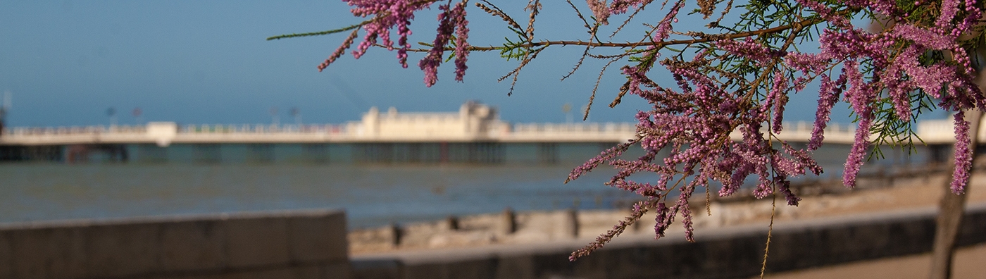 At Splash Point looking toward Worthing Pier by Steven Wilson. 5th August 2025.