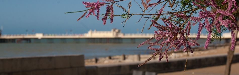 At Splash Point looking toward Worthing Pier by Steven Wilson. 5th August 2025.