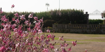 Worthing photo: Worthing Marine Gardens