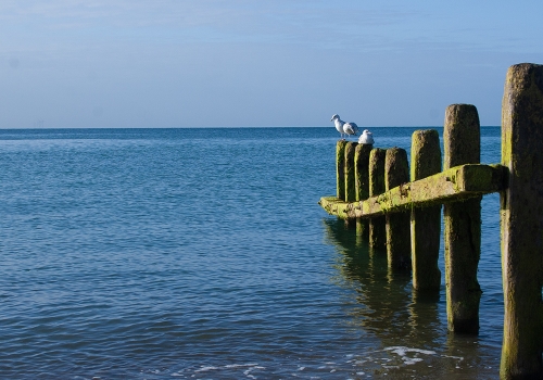 1. The Sea is Always There