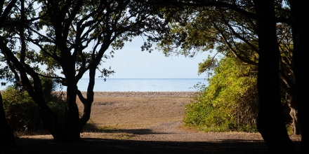 Worthing photo: Worthing Goring Gap Trees Beach