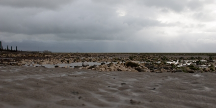 Worthing photo: Worthing Beach Pebbles