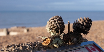 Worthing photo: Canadian Memorial Worthing Beach