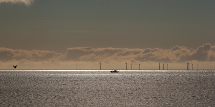 Worthing photo: Worthing Windfarm And Fishing Boat