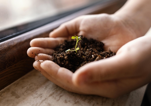 Grow your business